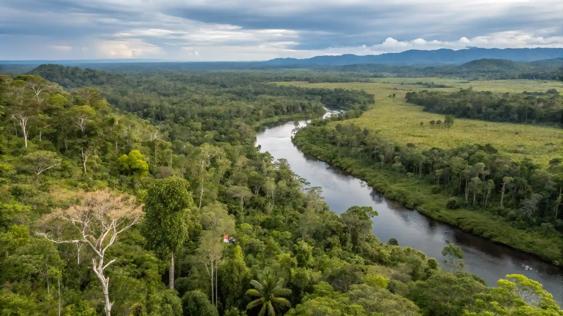 Eco Tourism Land Investment Papua Rainforest Preserve | Invest Papua