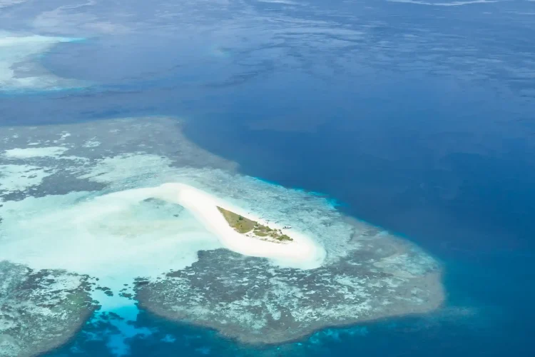 Pasir Timbul Raja Ampat | Invest Papua