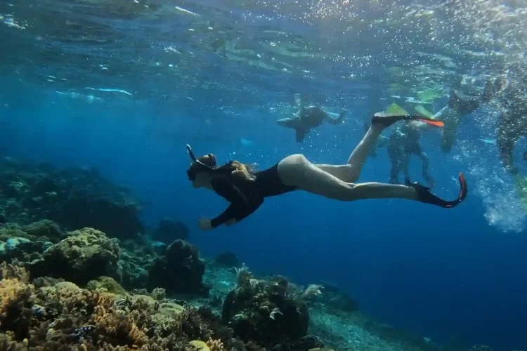 Snorkeling | Invest Papua